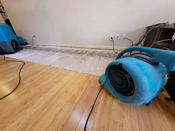 Professional Ceiling Water Damage Repair technician working in Epworth, GA